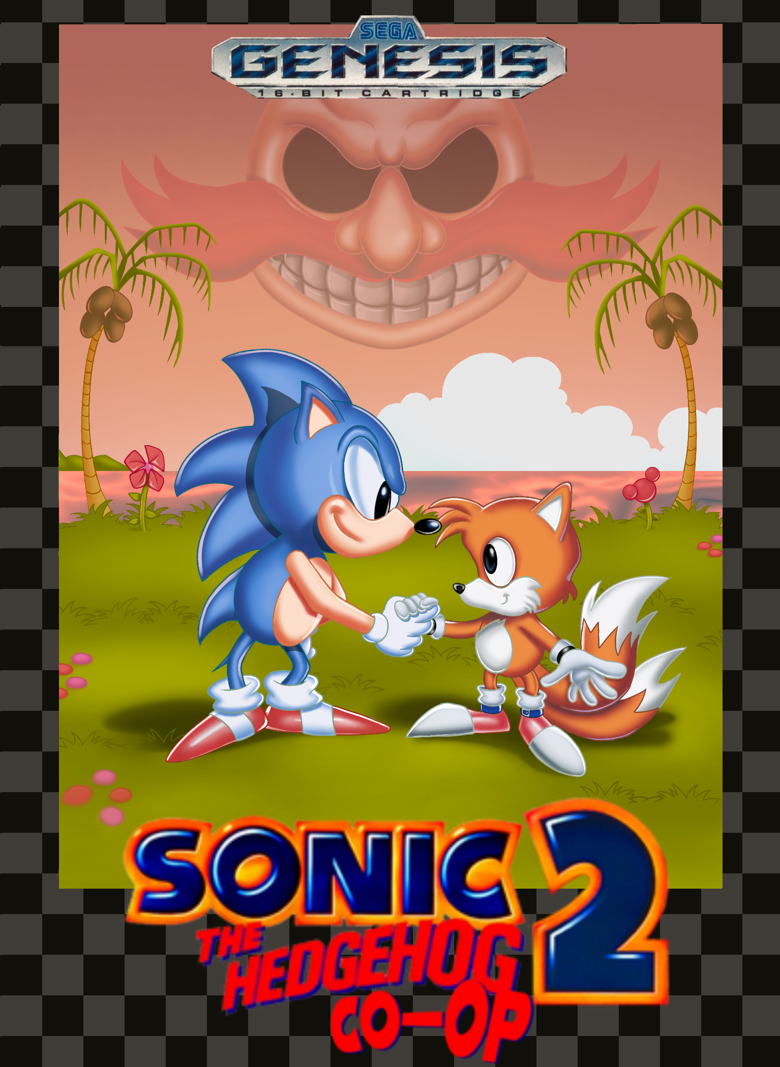 Sonic 2 Co-op