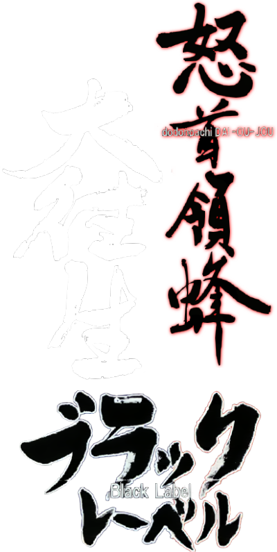 DoDonPachi Dai-Ou-Jou Black Label