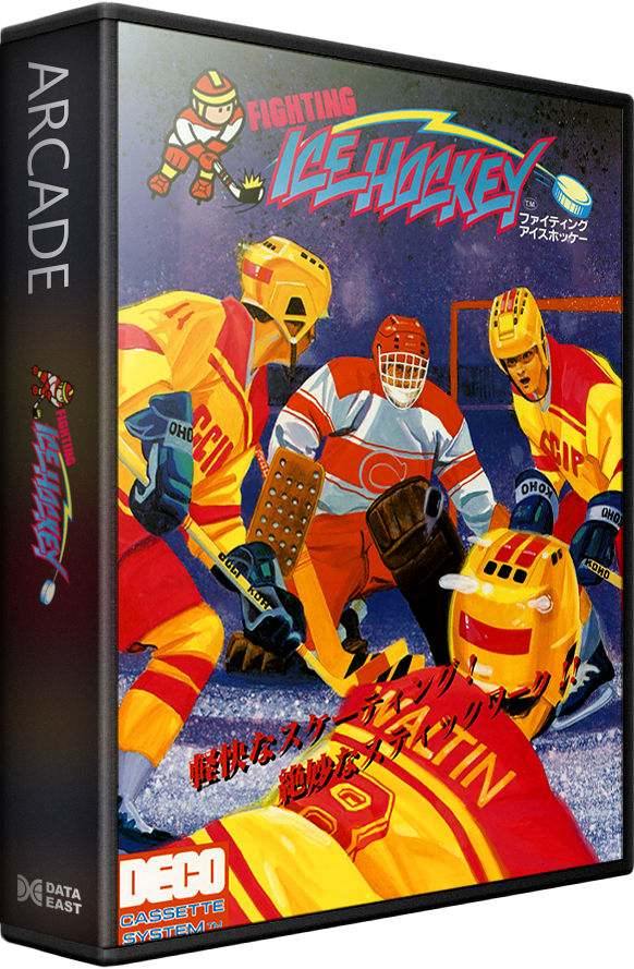 Fighting Ice Hockey