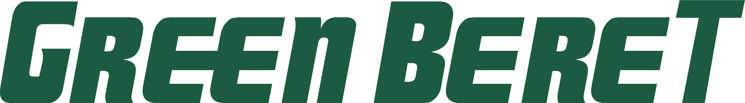Green Beret (Irem)