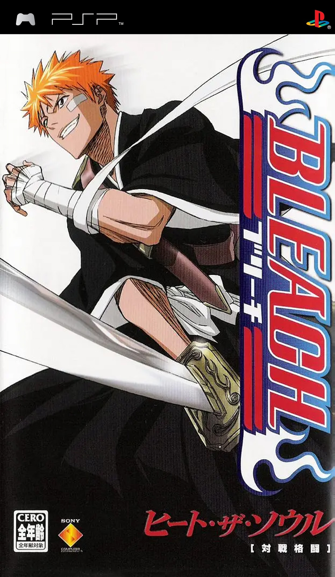 Bleach: Heat the Soul