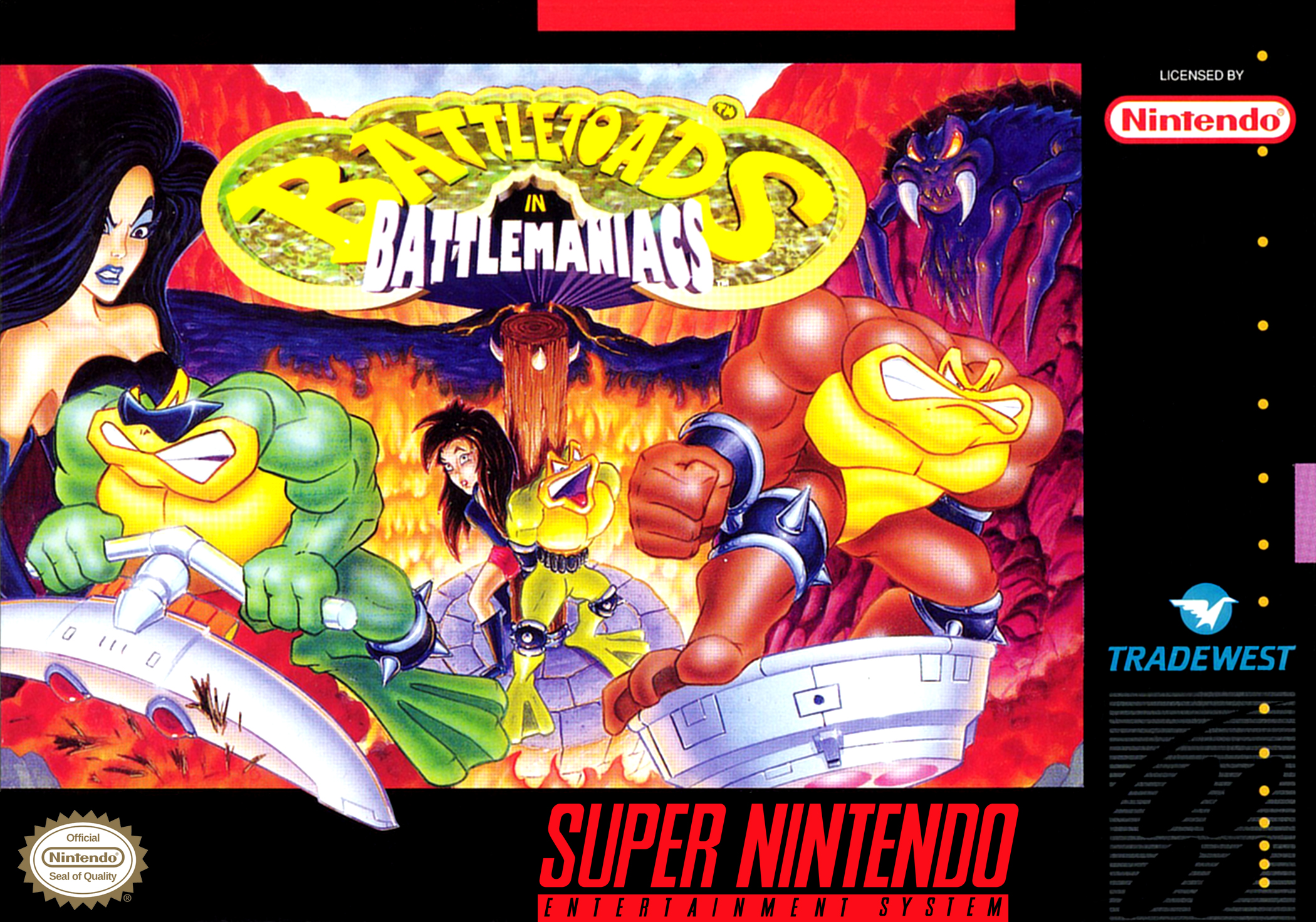 Battletoads in Battlemaniacs