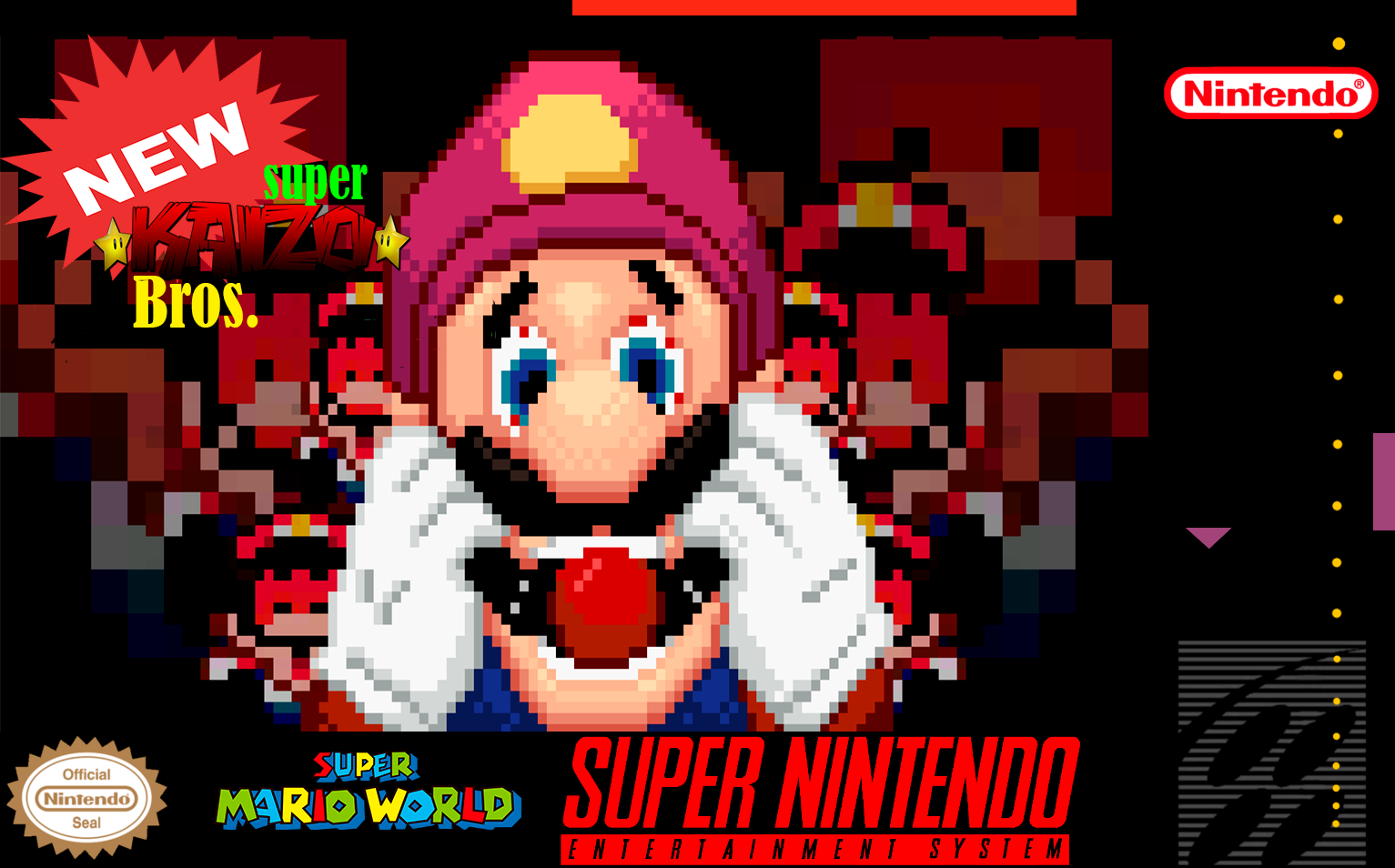 New Super Kaizo Bros.