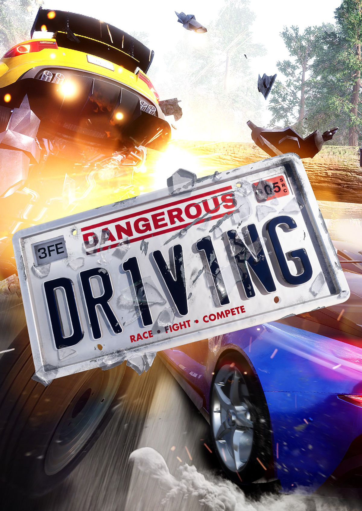 Dangerous Driving