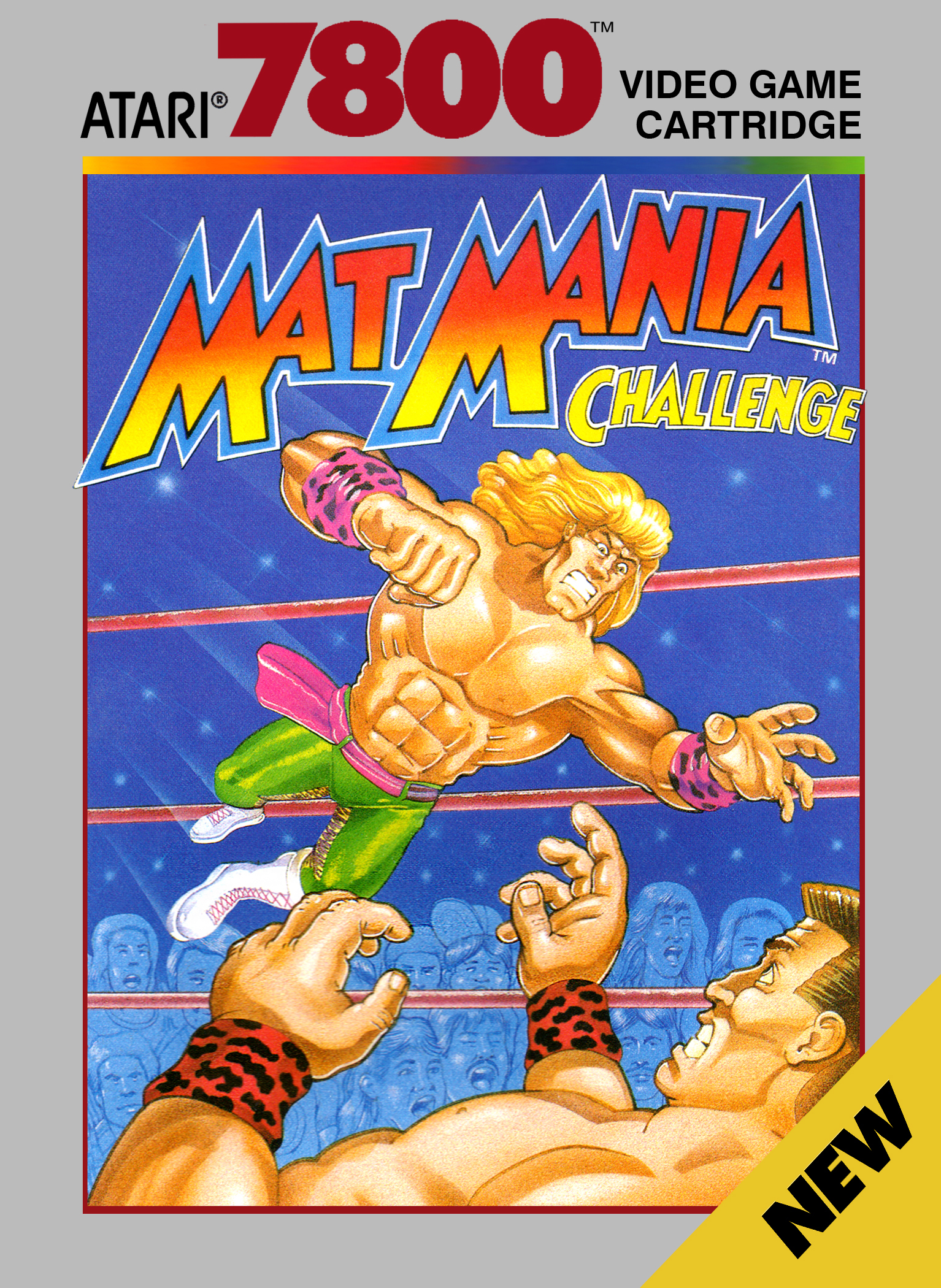 Mat Mania Challenge