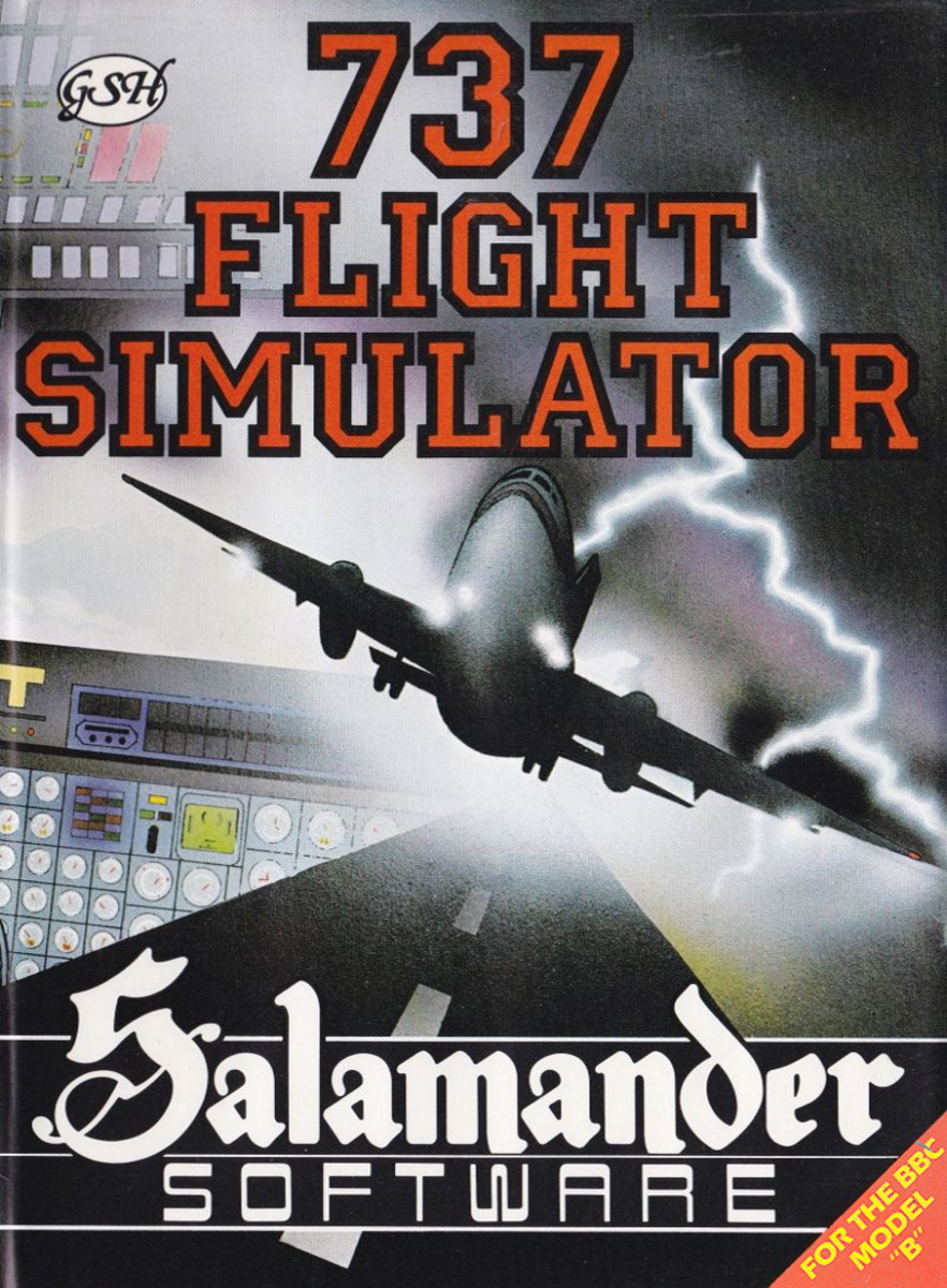 737 Flight Simulator