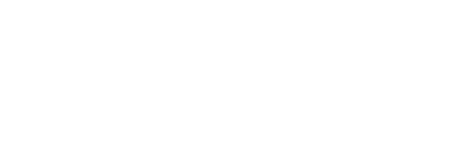 $F1 Racer