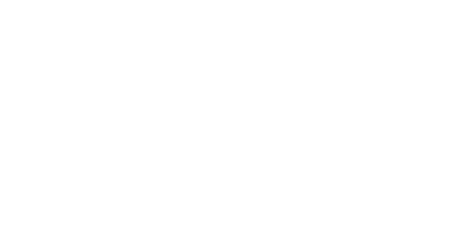 100: Hack the System