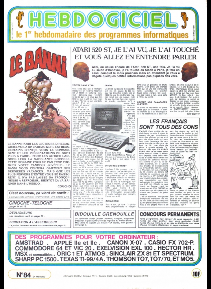 Ane Jaune