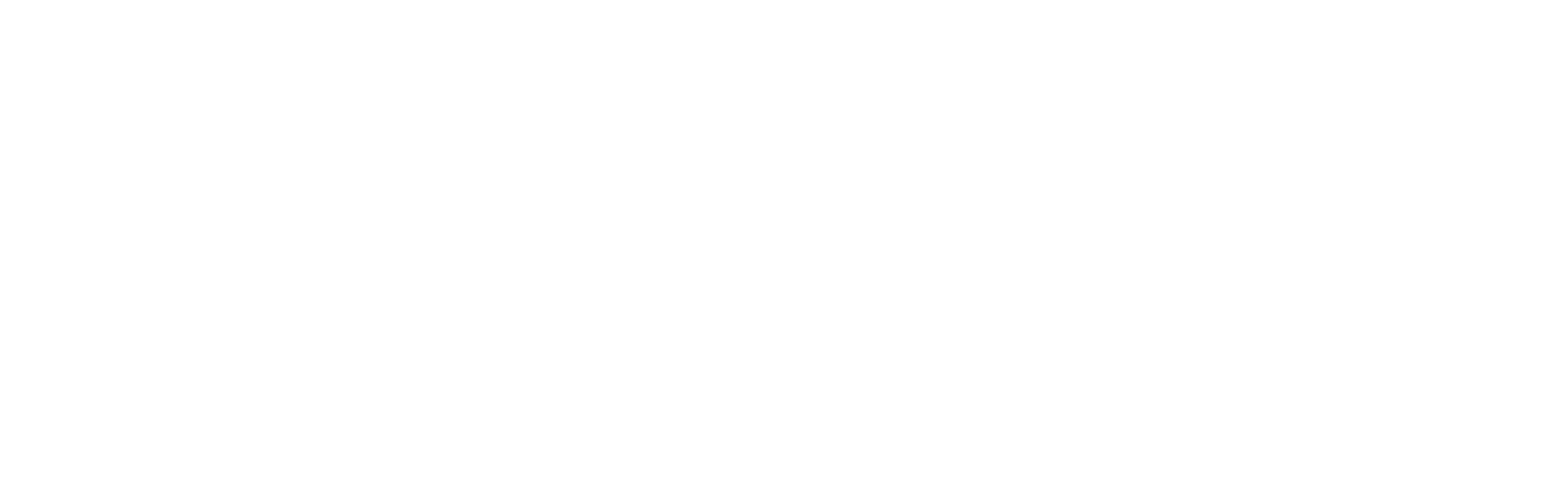 Astro Pilot