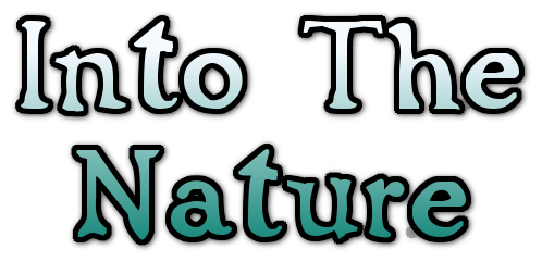 Into the Nature