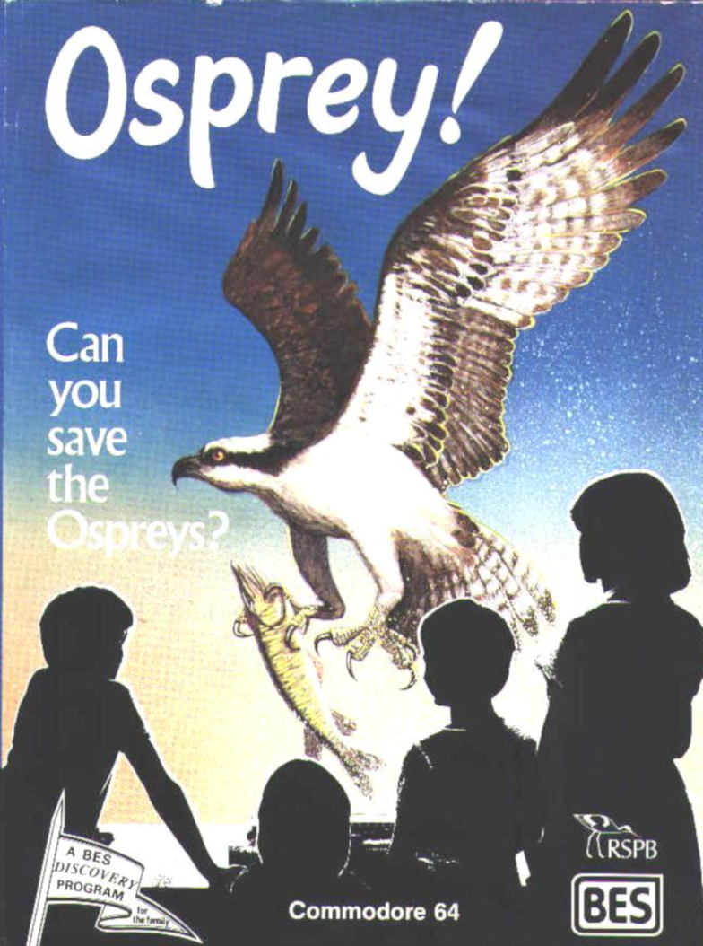 Osprey!