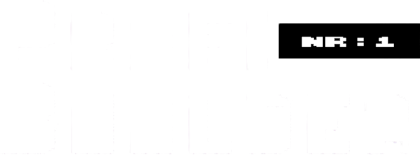 Profi Boulder 001