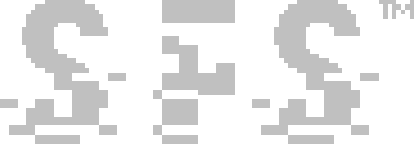 SFS: Special Forces Soldier