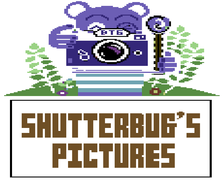 Shutterbug's Pictures