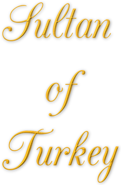 Sultan of Turkey