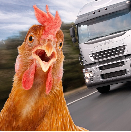 Chicken Challenge
