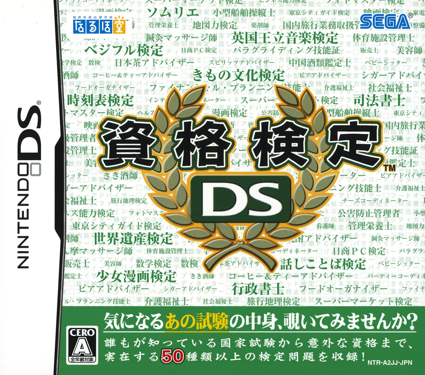 Shikaku Kentei DS