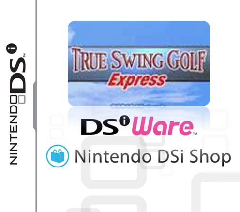 True Swing Golf Express