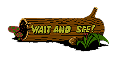 Wait and See!