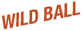 Wild Ball