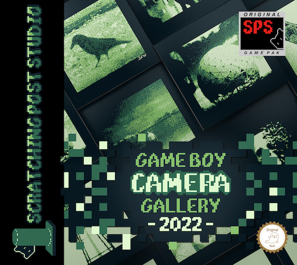 Game Boy Camera Gallery 2022