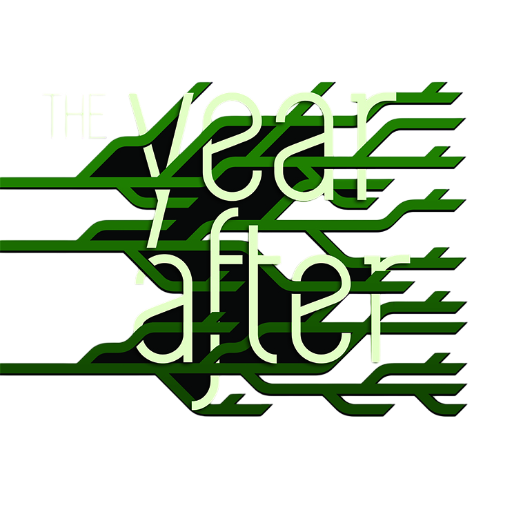 The Year After