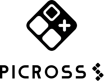 PICROSS S