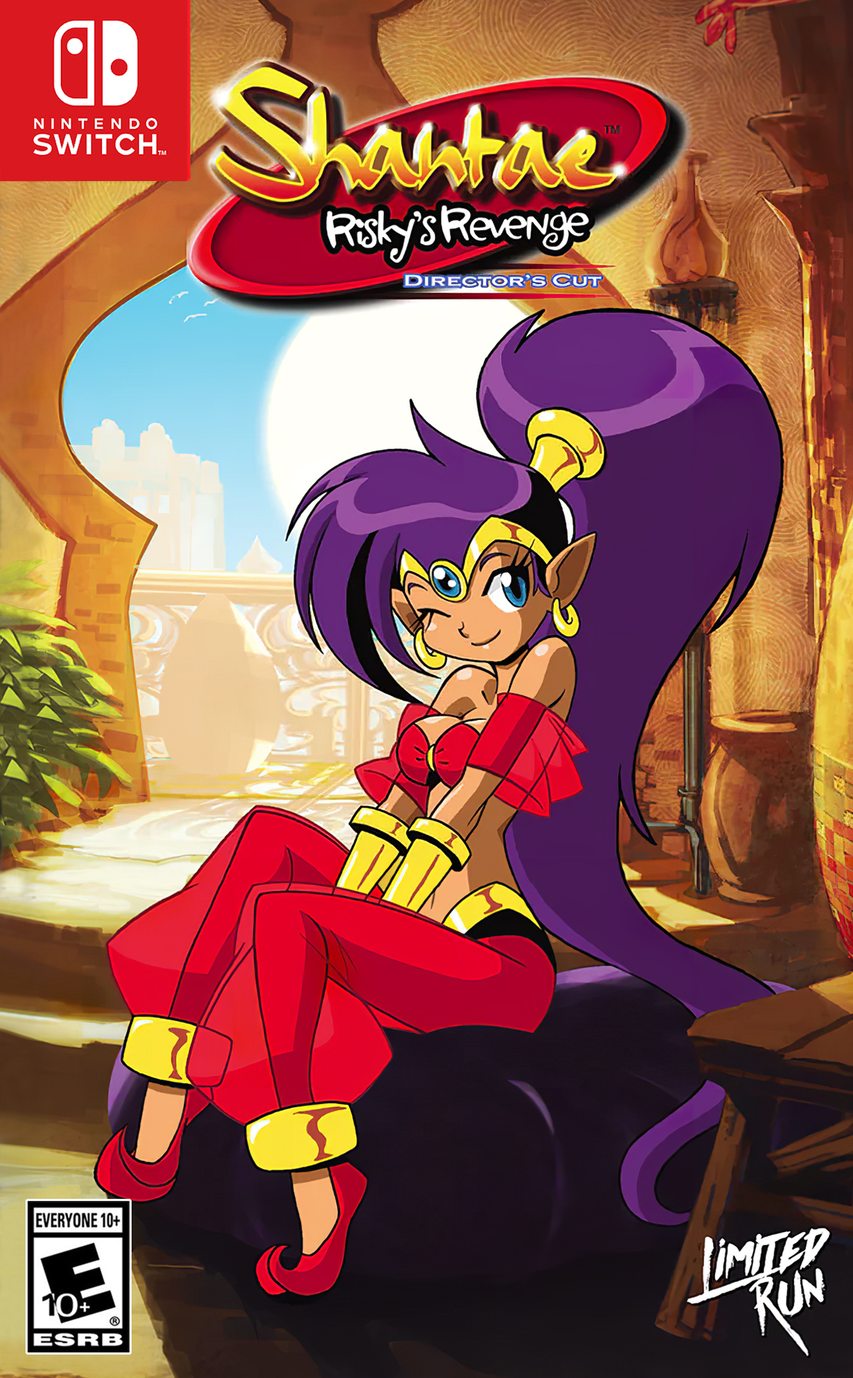 Shantae: Risky's Revenge: Director's Cut