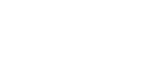 Space Pioneer