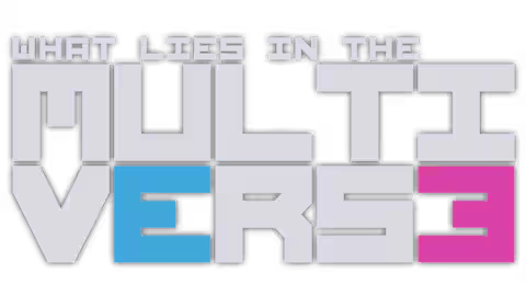What Lies in the Multiverse