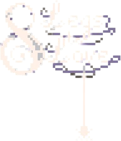8 Legs to Love