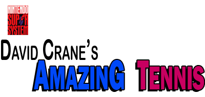 David Crane's Amazing Tennis